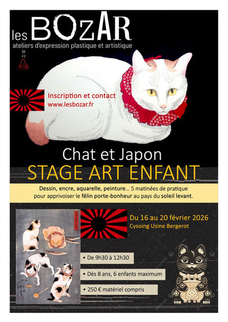 AFFICHE STAGE CHAT.jpg