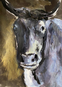 Vache portrait encre