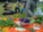 Crop Swap & Share in Ohlone Park - Celebrating our 15th Year!