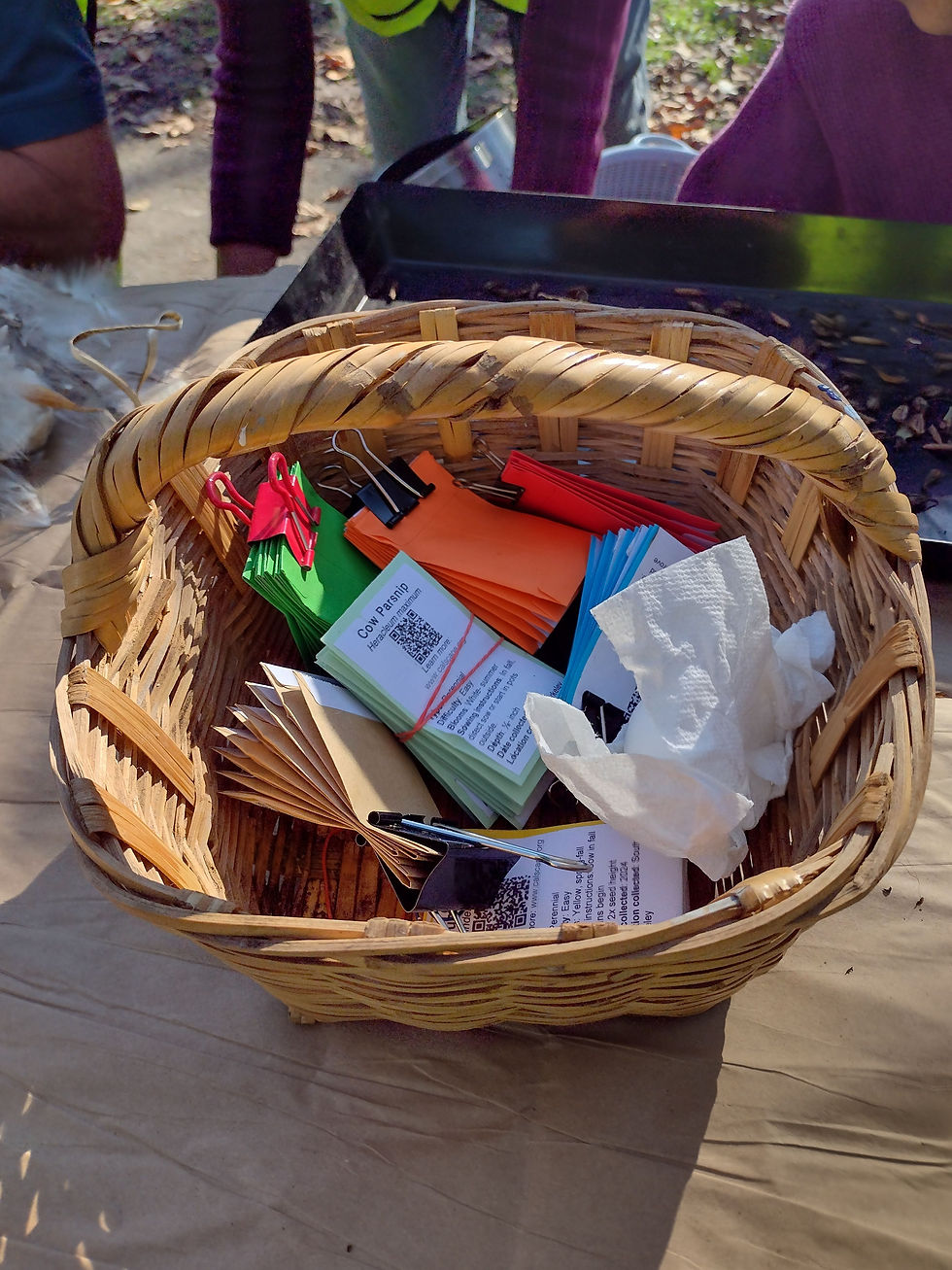 Pollinator Seed Saving Get Together