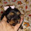 Miniatura: Filhote Yorkshire Terrier com Pedigree Fêmea 