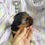Miniatura: Filhote Fêmea Yorkshire com Pedigree Pequena