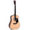 Thumbnail: Sigma SDM-STE+ (Acoustic & Semi Acoustic)