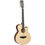 Thumbnail: Tanglewood Winterleaf 12 String, Electric Acoustic (Acoustic & Semi Acoustic)