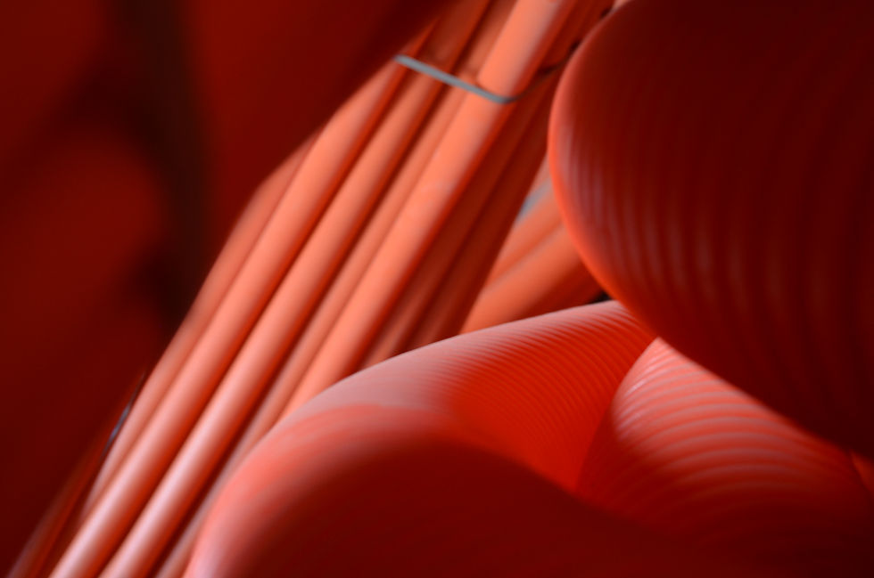 5CE89303-7A39-4F4E-8300-0F4942487901.jpeg