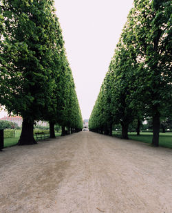Kongens Have: The King's Garden