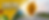 SFTS_TVS_Billboard_Generic_960x384_070525.png