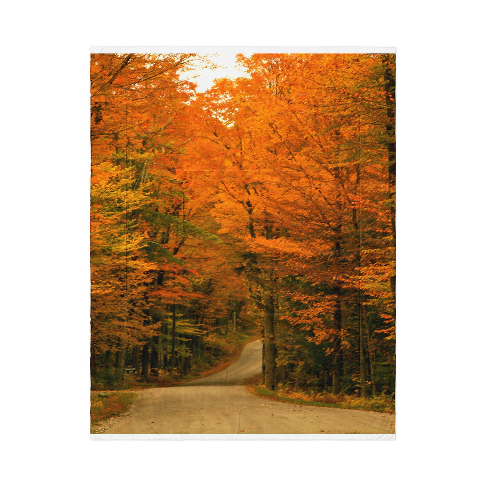 Thumbnail: Comforter  VERMONT AUTUMN
