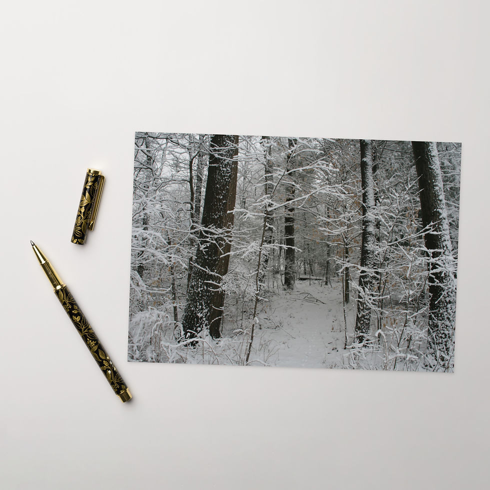 Miniatura: Biglietto d'auguri SNOWY LAKE DRIVE - Disponibile in 3 misure!!