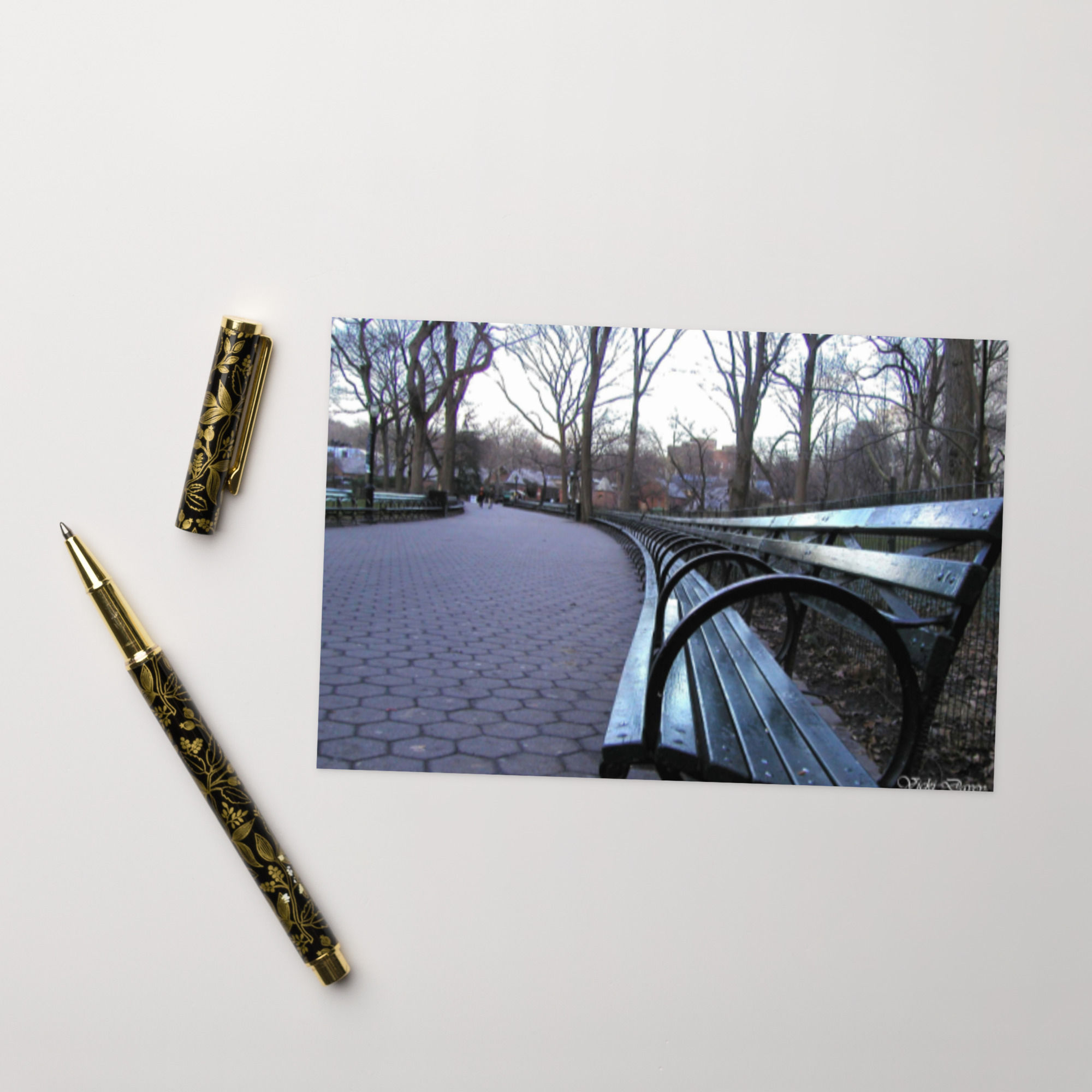 Greeting card CENTRAL PARK, NYC - Comes in 3 sizes!!