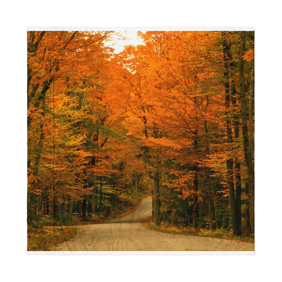 Miniature : Couette VERMONT AUTOMNE