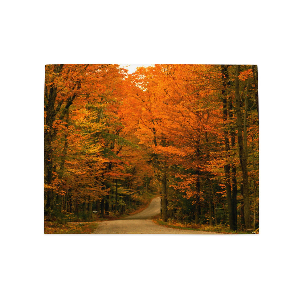 Miniatura: Jogo de jogos americanos VERMONT AUTUMN ROAD