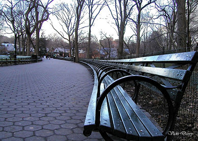 Central Park Benches_edited_edited.jpg