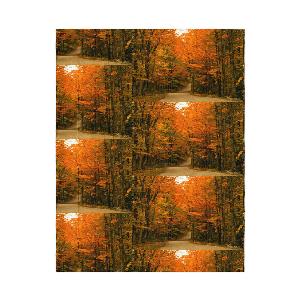 Miniature : Couette motif AUTOMNE VERMONT - 4 tailles