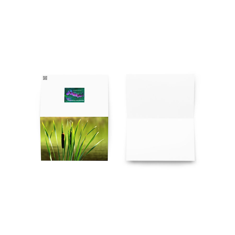 Miniature : Carte de vœux CHATS - Disponible en 3 tailles !!