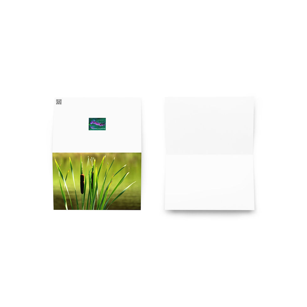 Miniature : Carte de vœux CHATS - Disponible en 3 tailles !!