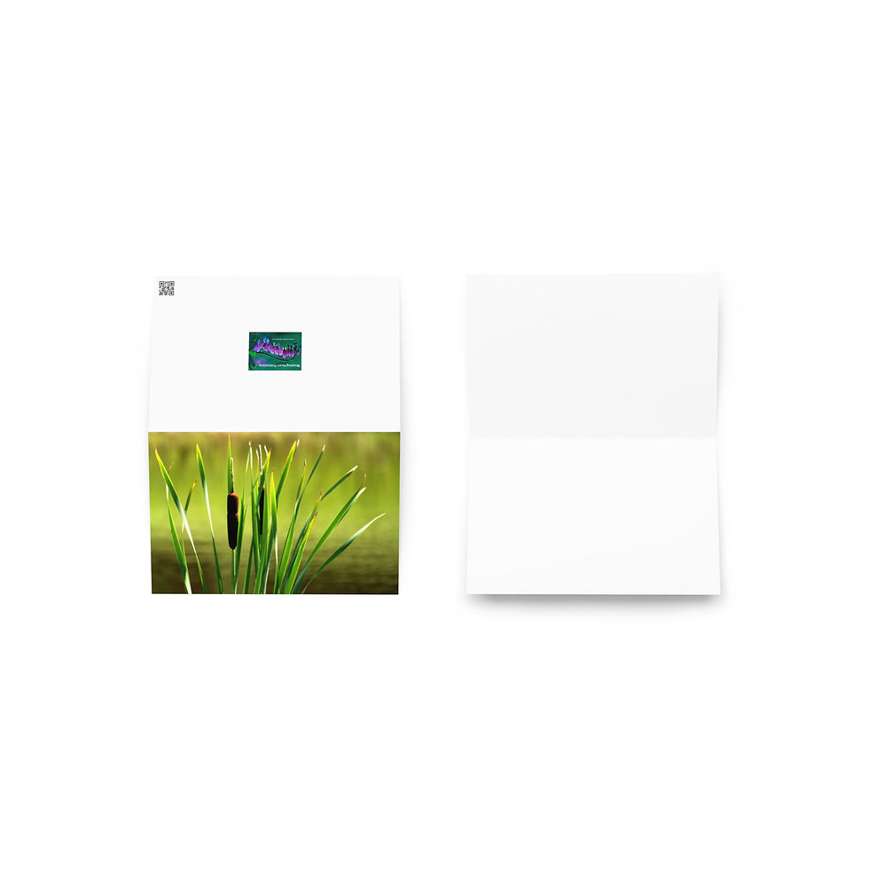 Miniature : Carte de vœux CHATS - Disponible en 3 tailles !!