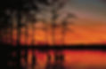 Reelfoot-sunset-trees.jpg