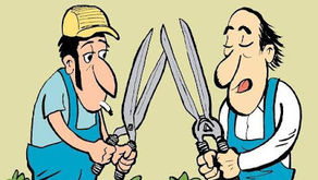 HUMOR JARDINERO