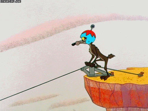 wile e coyote 1.gif