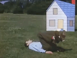 norman mclaren neighbours 1952.gif