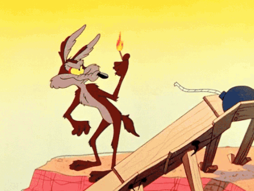 wile e coyote 2.gif