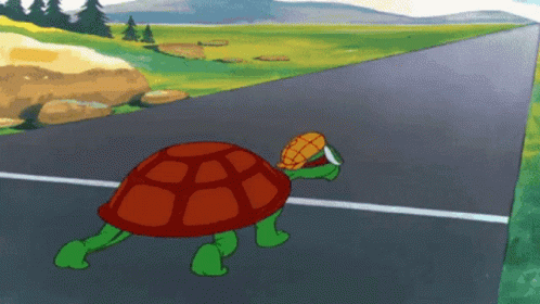 jet-turtle-jet-turtle2.gif