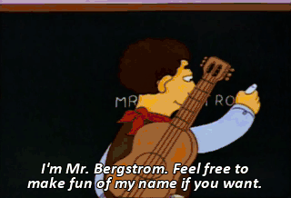 mr bergstrom.gif