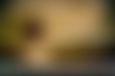 Legyen elég bátorságod...