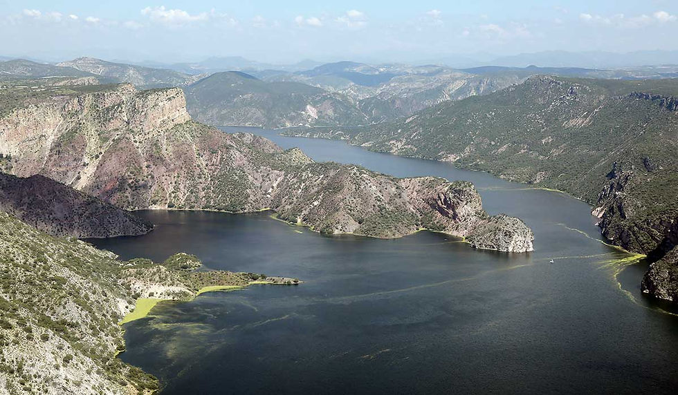 presa zimapan