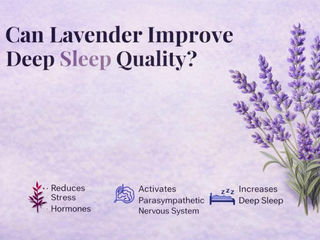 lavender improve deep sleep