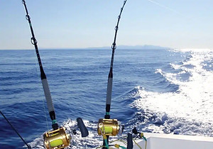 Sea Fishing Trips In Lanzarote