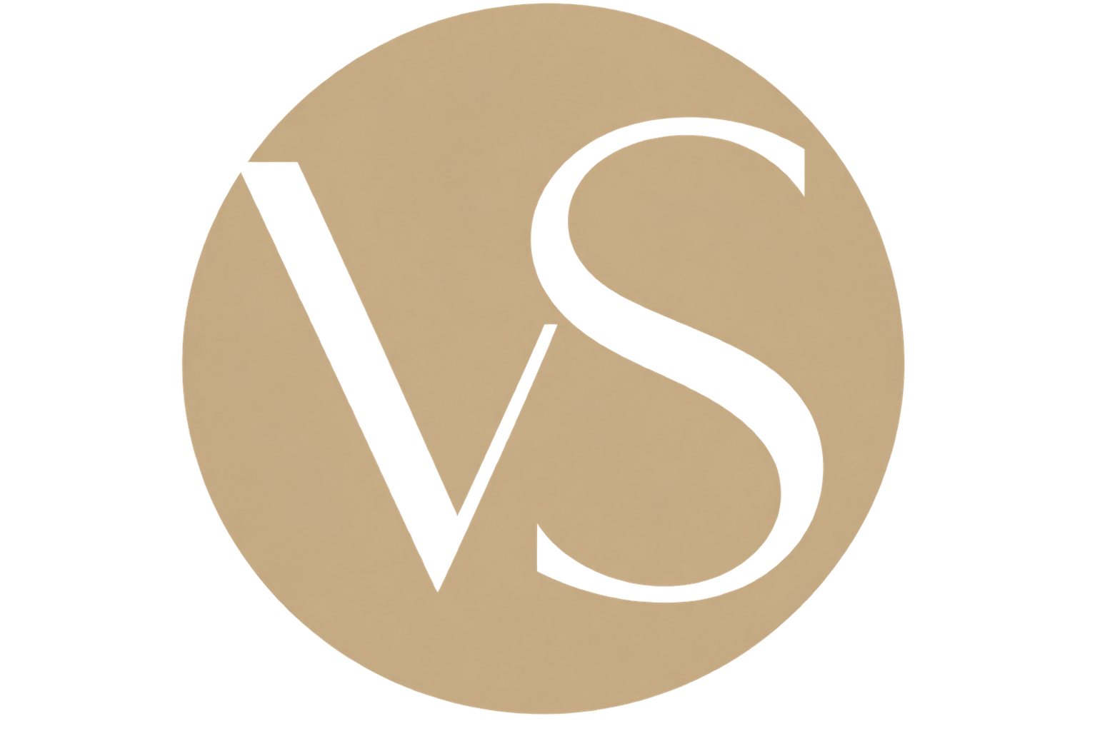 VisionSocial Logo