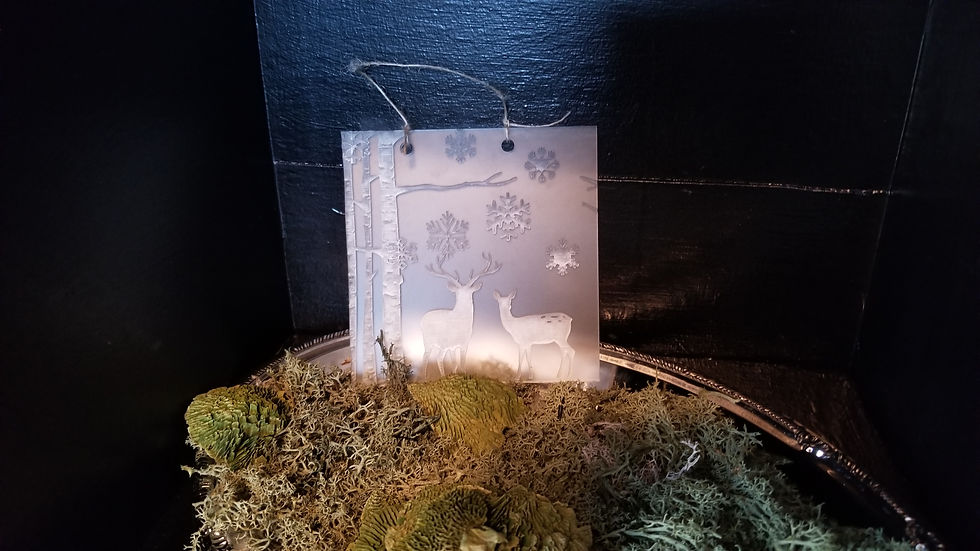 Thumbnail: Winter Season Decorative sign on elegant opaque frosted acrylic. Hung plaque.