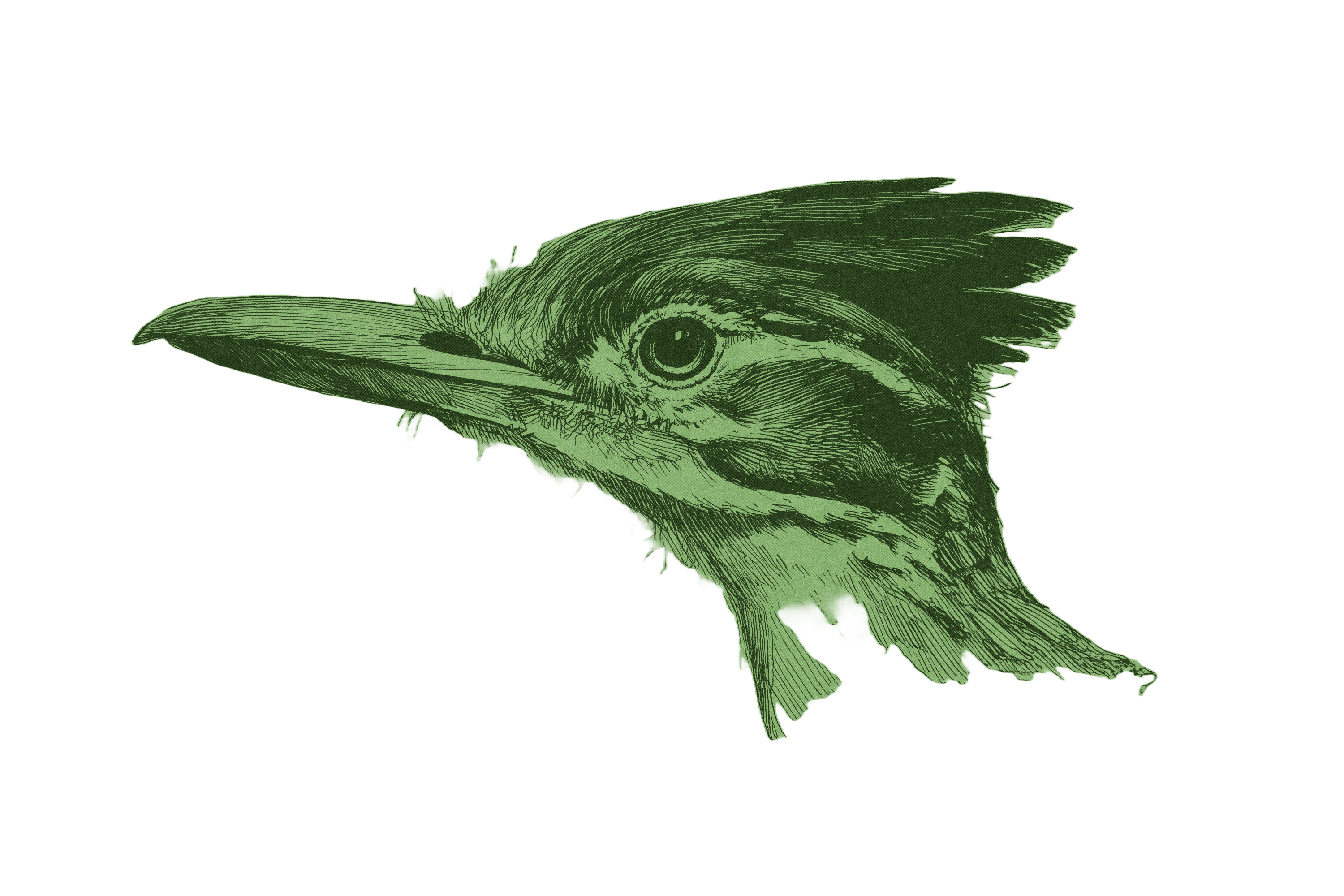 352.png