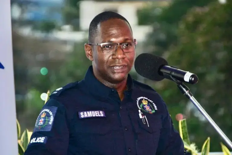 Keep it clean!Police warn artistes against expletives on Sumfest stage 