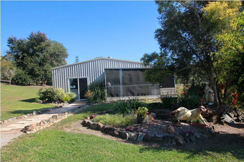 Brisbane Pet Holidays & Training Courses Aussie Pet Resort