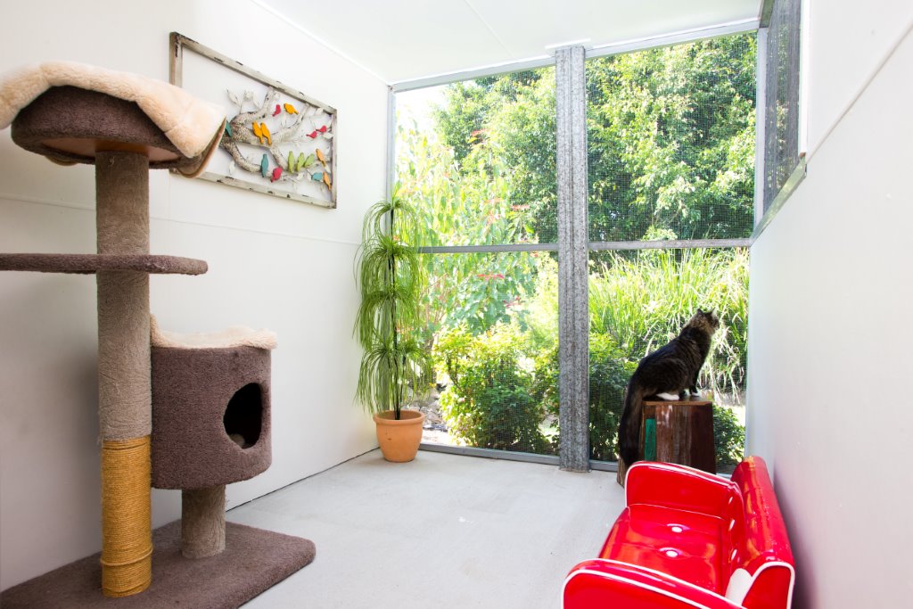 Brisbane Cattery & Cat Boarding Aussie Pet Resort