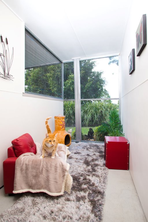 Brisbane Cattery & Cat Boarding Aussie Pet Resort