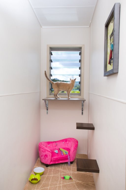 Brisbane Cattery & Cat Boarding Aussie Pet Resort