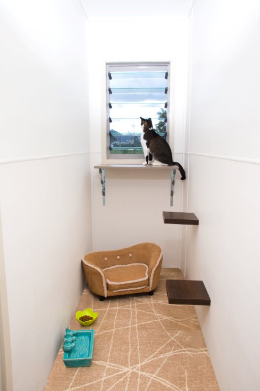 Brisbane Cattery & Cat Boarding Aussie Pet Resort