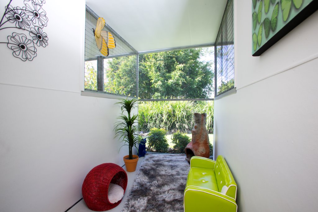 Brisbane Cattery & Cat Boarding Aussie Pet Resort