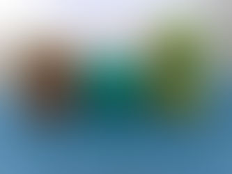 Gank Genk Gink Gonk Gunk