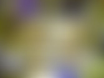 S.P.A.M. (strange people at mail)