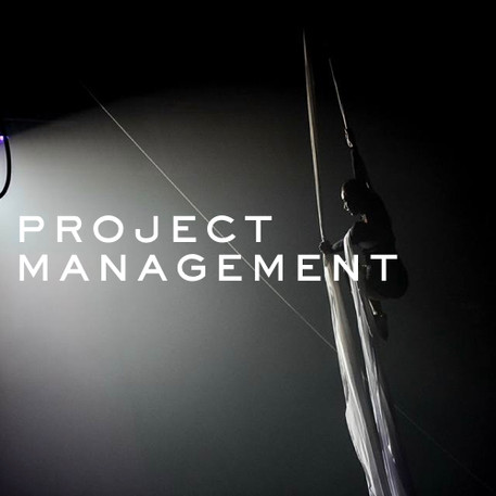 PROJECT MANAGEMENT
