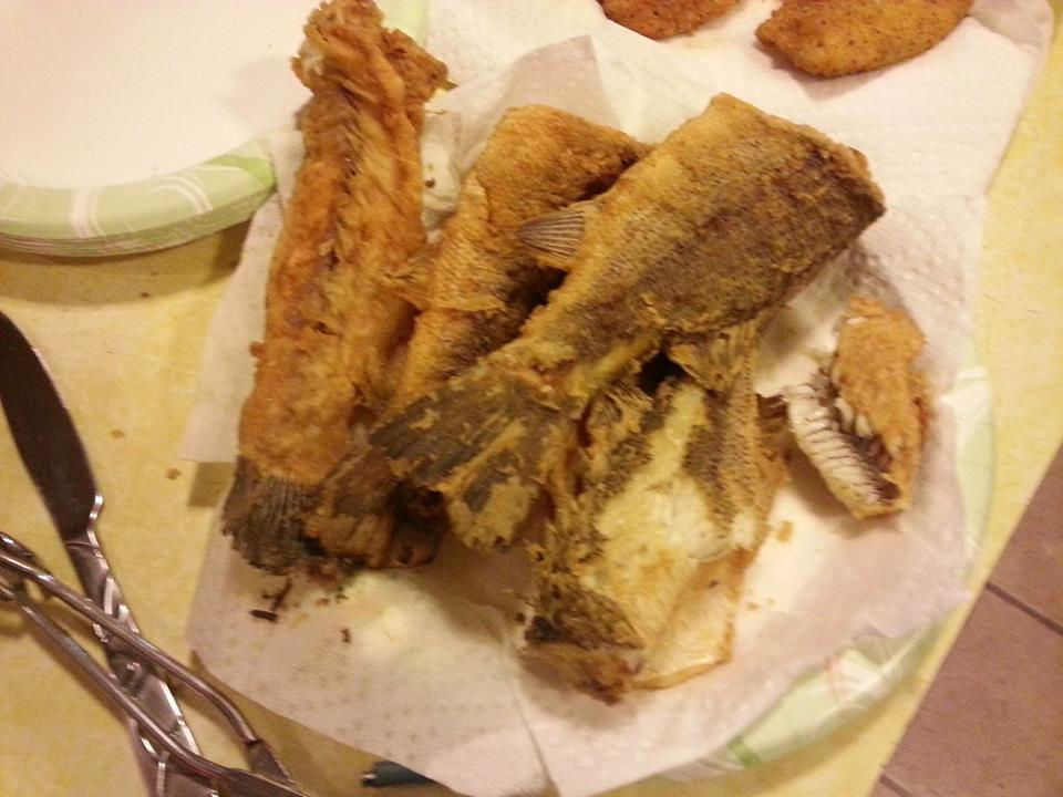 FishingAnarondaks2015May31(13).jpg