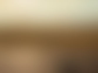 Running Slow & Building Endurance. The Science Explained