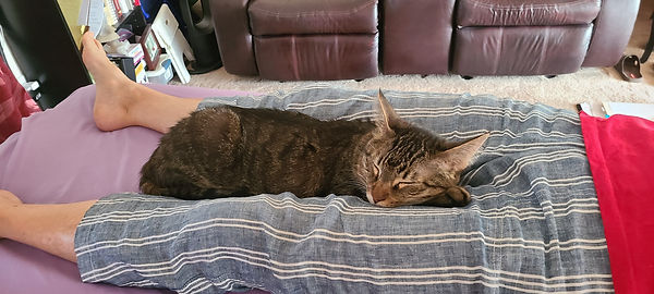 20210713_151843.jpg