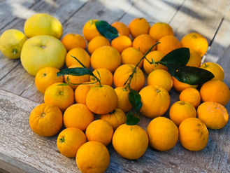 Israël, 11 mars 2024