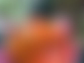 Israël, 21 décembre 2023